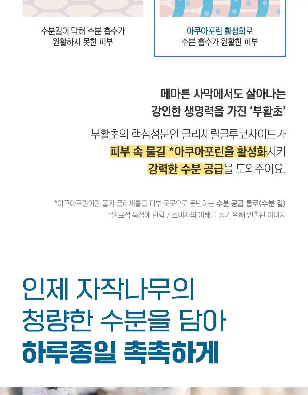 [수분더블/밀착케어] 라운드랩 자작나무 수분 더블 겔 마스크 10매 상세페이지 17